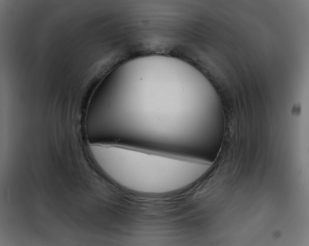 X0000101470693200807071219