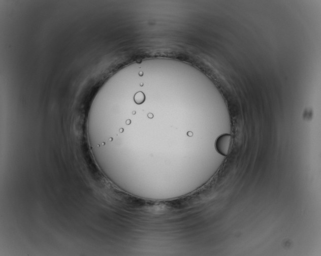 X0000101470695200807071219