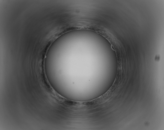 X0000101470696200807071219