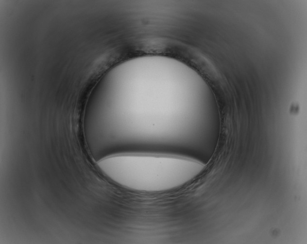 X0000101470697200807071219