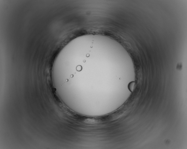 X0000101470699200807071219