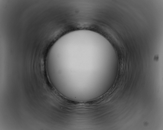 X0000101470700200807071219