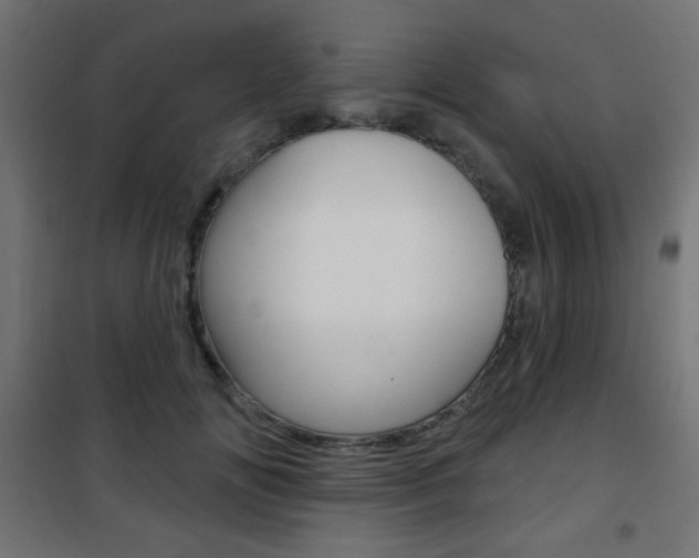 X0000101470702200807071219