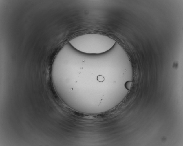 X0000101470703200807071219