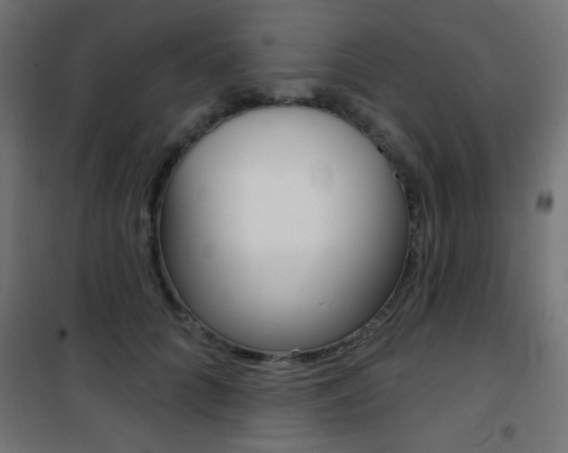 X0000101470704200807071219