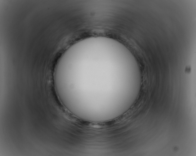 X0000101470706200807071219