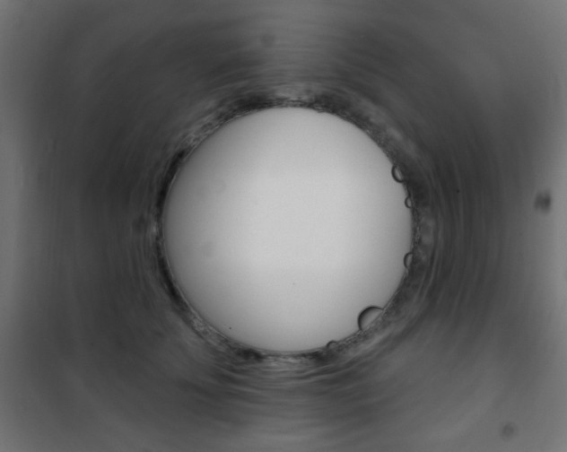 X0000101470707200807071219