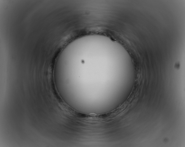 X0000101470708200807071219