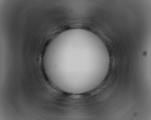 X0000101470711200807071219
