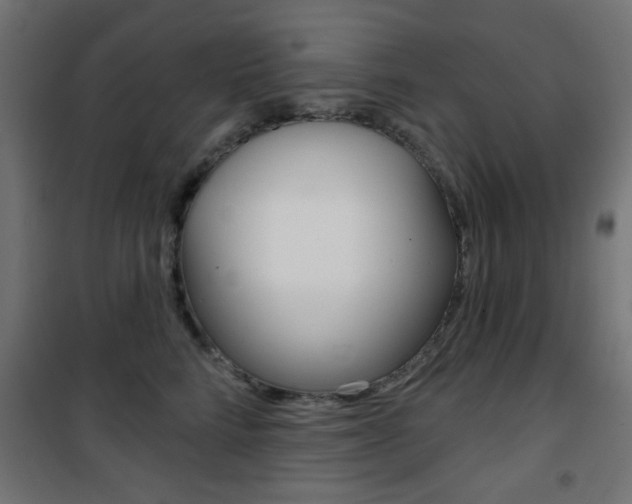 X0000101470712200807071219
