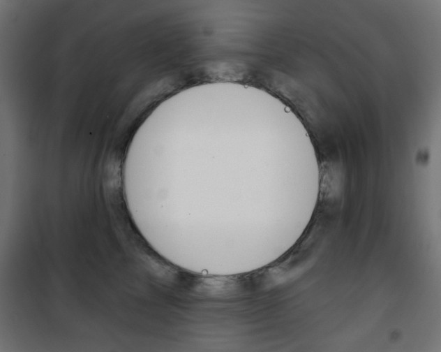 X0000101470713200807071219
