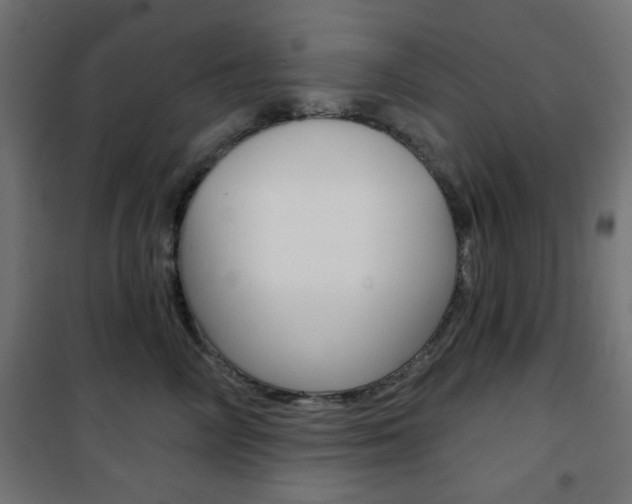 X0000101470714200807071219