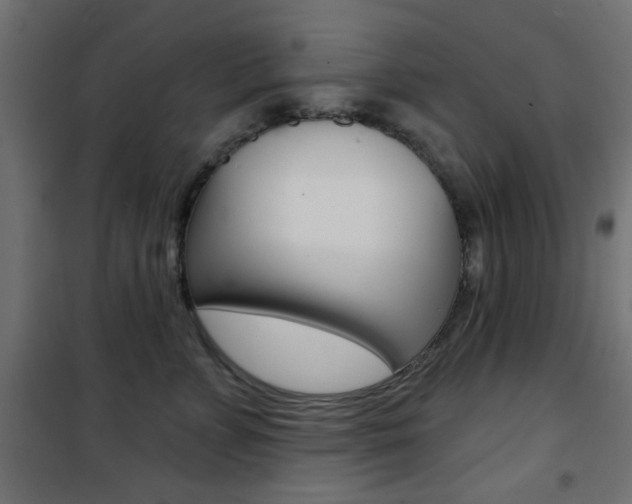 X0000101470715200807071219