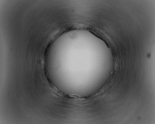 X0000101470716200807071219