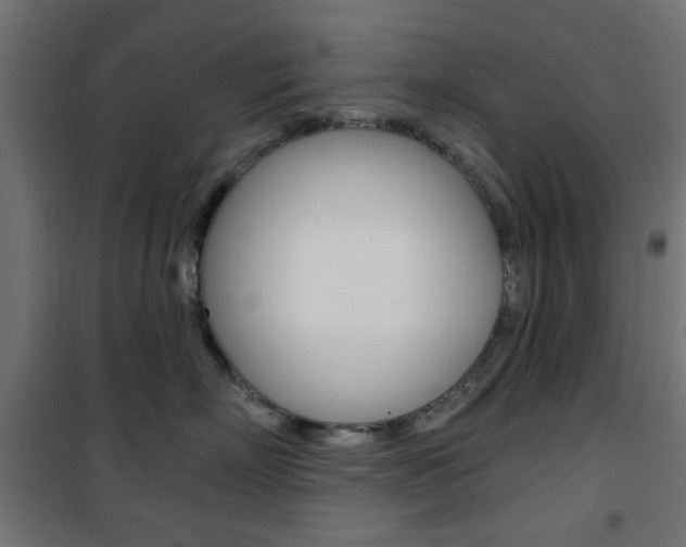 X0000101470718200807071219