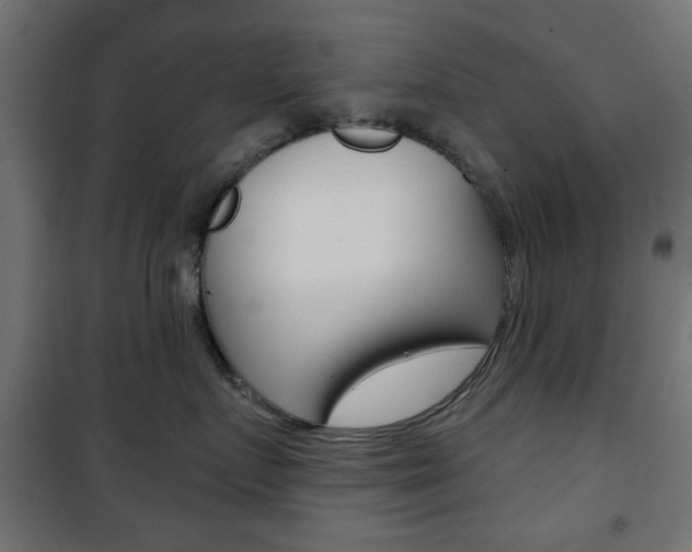 X0000101470719200807071219