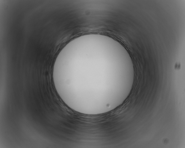 X0000101470720200807071219
