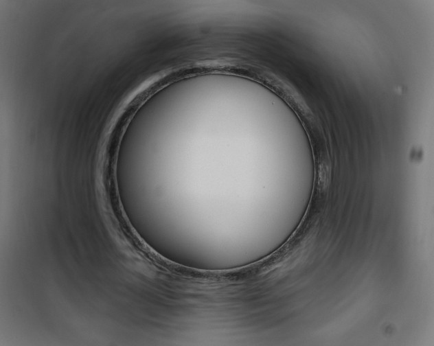 X0000101470724200807071218
