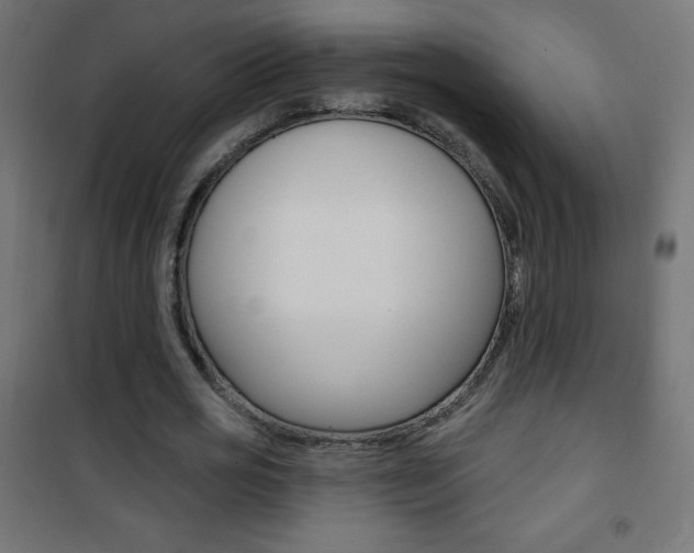 X0000101470725200807071218