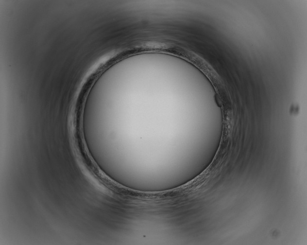X0000101470726200807071218