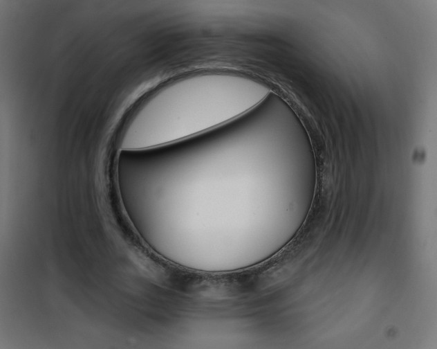 X0000101470727200807071218