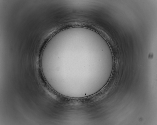 X0000101470729200807071218