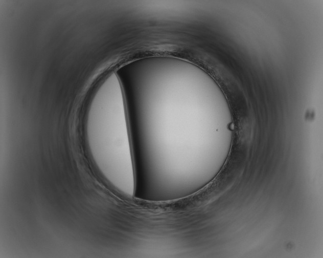 X0000101470731200807071218