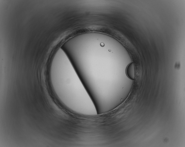 X0000101470734200807071218