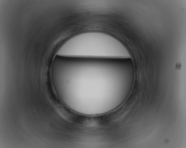 X0000101470735200807071218