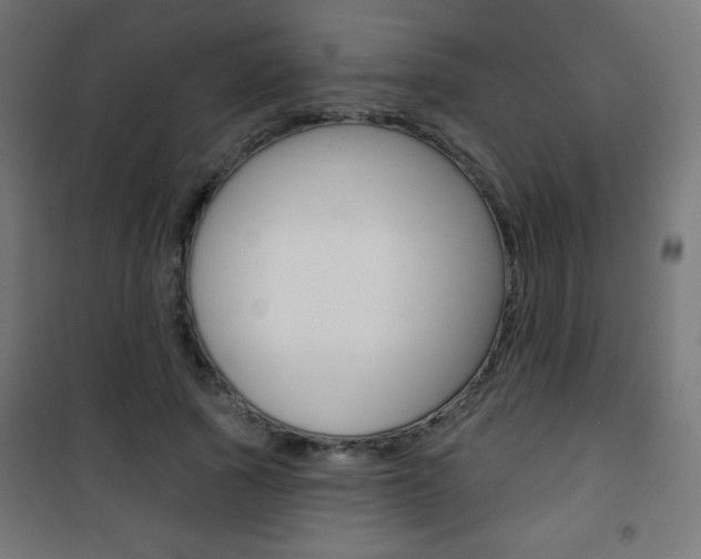 X0000101470737200807071218