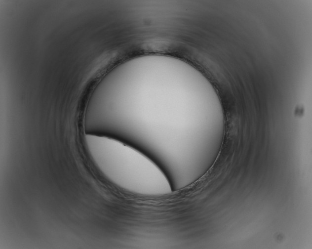 X0000101470738200807071218