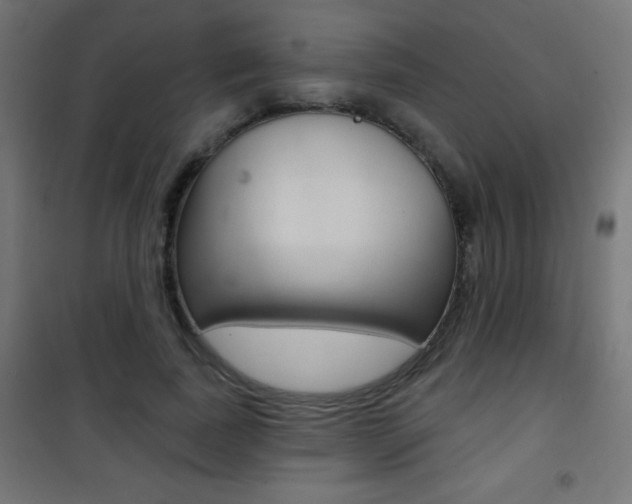X0000101470739200807071218