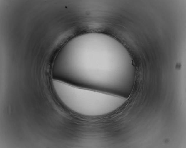 X0000101470742200807071218