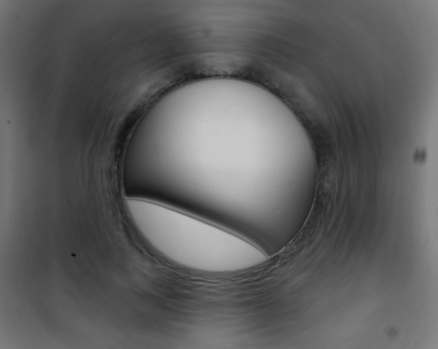 X0000101470743200807071218