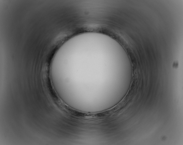 X0000101470744200807071218