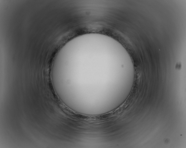 X0000101470745200807071218
