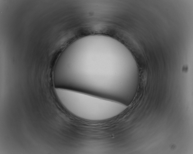 X0000101470746200807071218