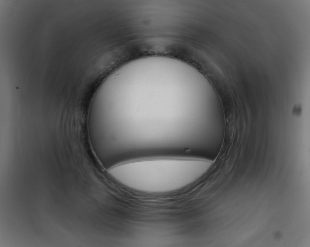 X0000101470747200807071218