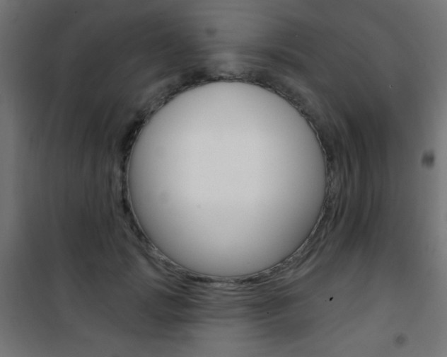 X0000101470749200807071219