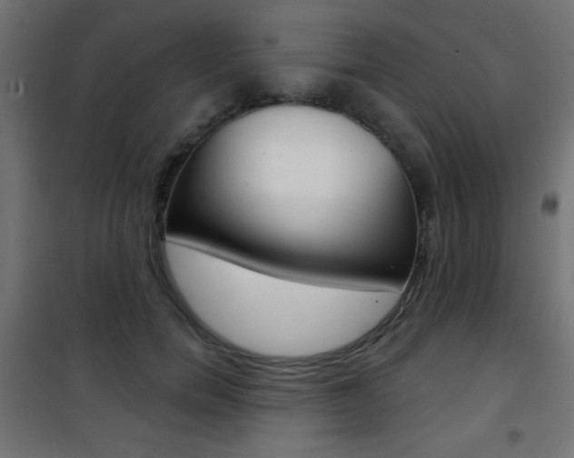 X0000101470750200807071219