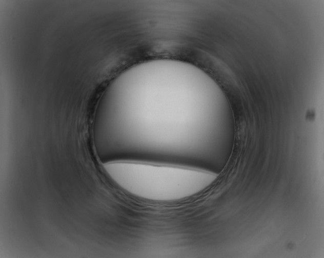 X0000101470751200807071219