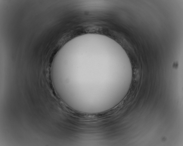 X0000101470753200807071219