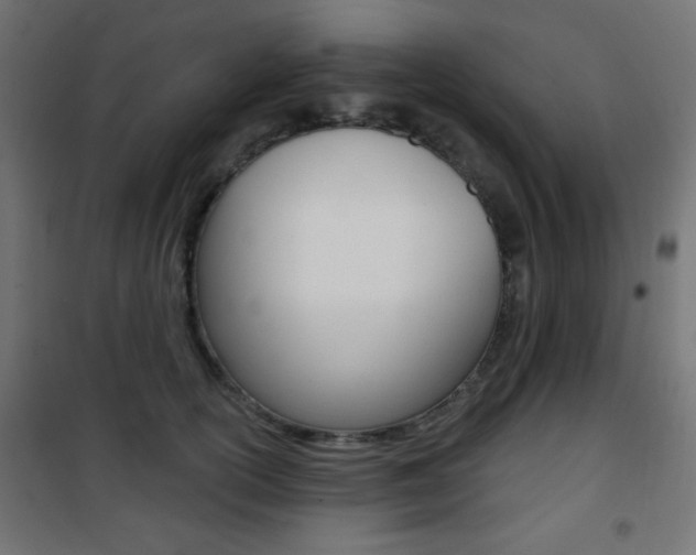 X0000101470754200807071219