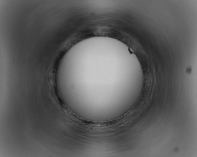 X0000101470755200807071219