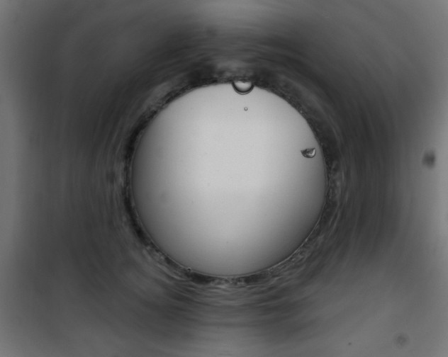 X0000101470756200807071219
