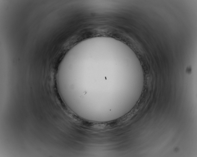 X0000101470757200807071219