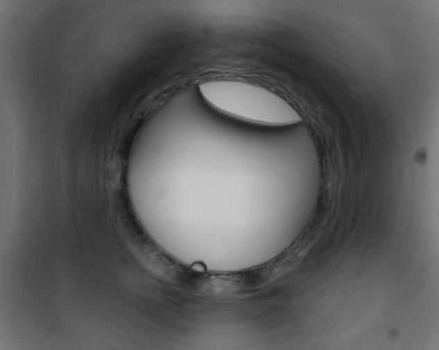 X0000101470758200807071219