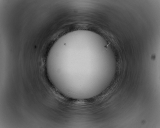 X0000101470759200807071219