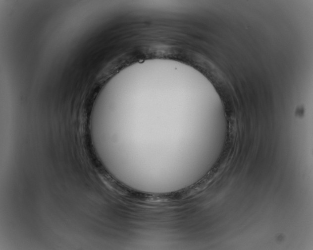 X0000101470760200807071219