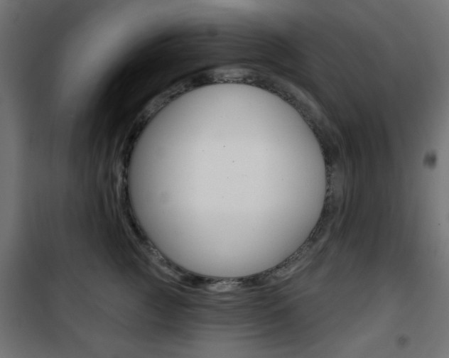 X0000101470761200807071219